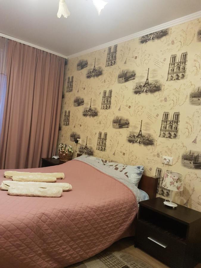 2Х Комнатная С Ремонтом В Центре.Renovated, Center Lägenhet Khmelʼnytsʼkyy Exteriör bild